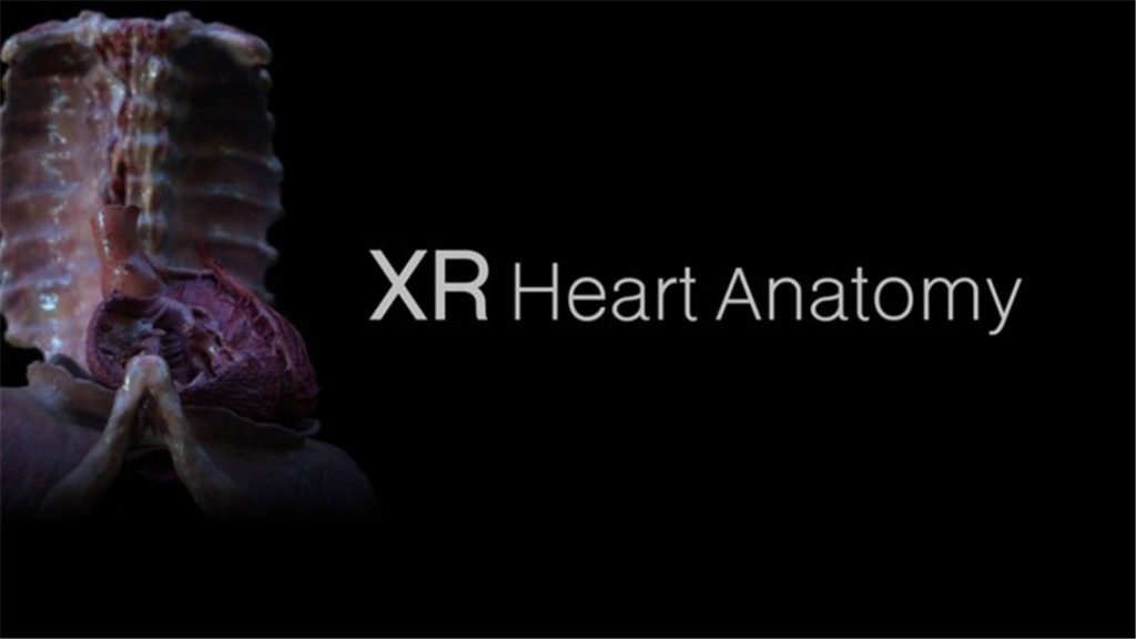 XR心脏解剖（XR Heart Anatomy）- Meta Quest游戏下载-单机游戏网