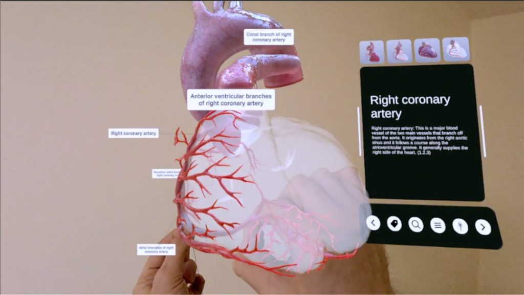 XR心脏解剖（XR Heart Anatomy）- Meta Quest游戏下载-单机游戏网