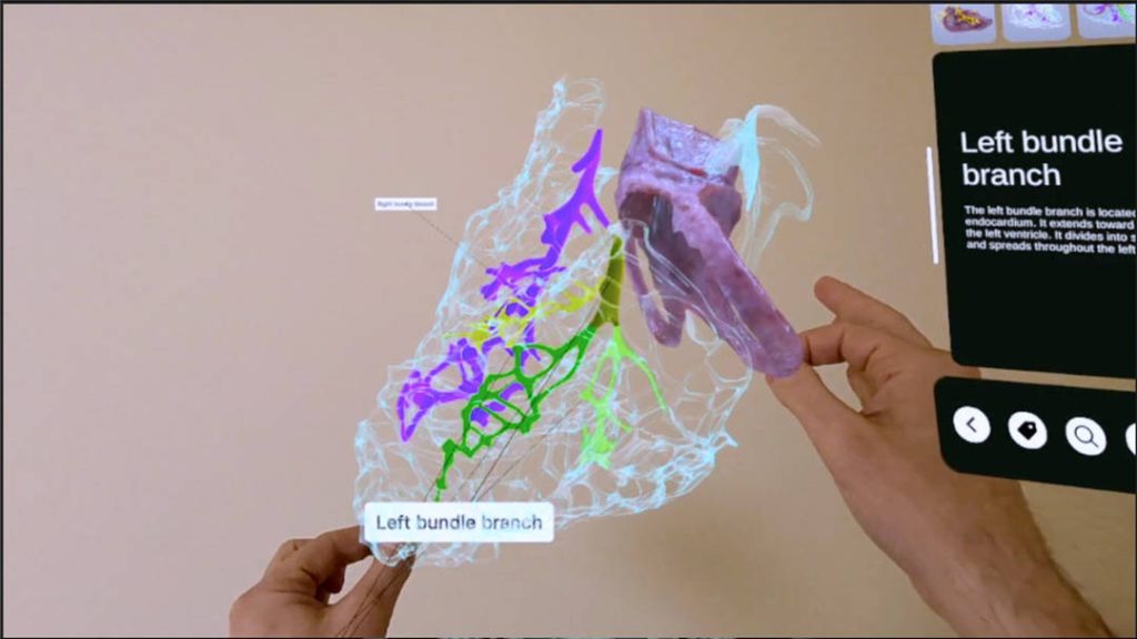 XR心脏解剖（XR Heart Anatomy）- Meta Quest游戏下载-单机游戏网