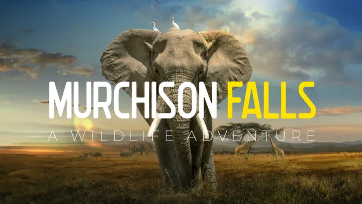 野生动物探险之旅(Murchison Falls: The Awarded Wildlife Adventure with Elephants, Lions and Hyenas)-单机游戏网 野生动物探险之旅(Murchison Falls: The Awarded Wildlife Adventure with Elephants, Lions and Hyenas)-单机游戏网