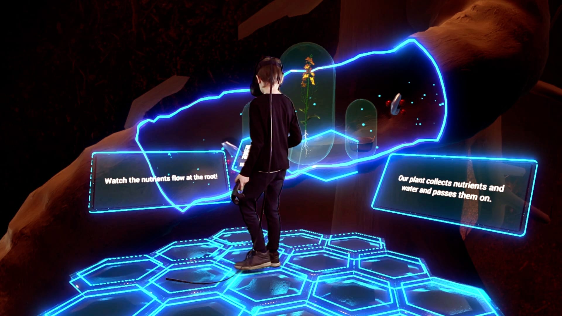 VR植物之旅(VR Plant Journey)-单机游戏网 VR植物之旅(VR Plant Journey)-单机游戏网