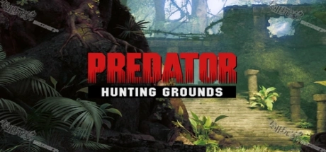 铁血战士：狩猎场/Predator: Hunting Grounds/网络联机版-御游网